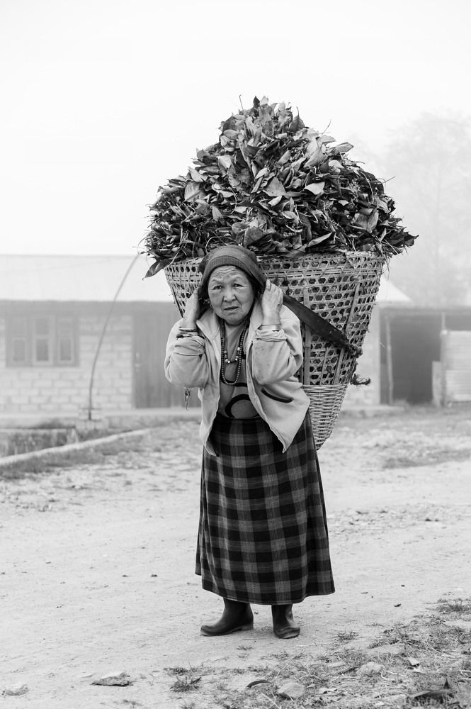 Photograph by Jayaram Prajapati