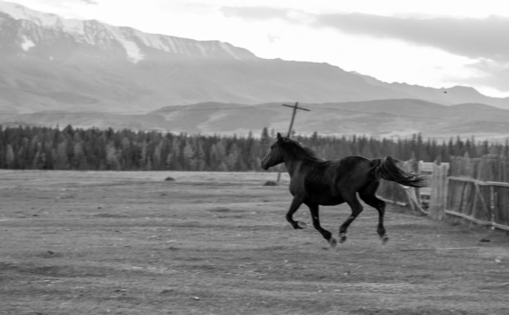 Photograph by Дарья Белых