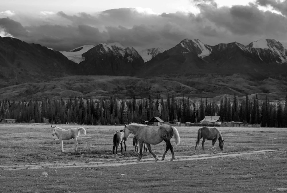 Photograph by Дарья Белых