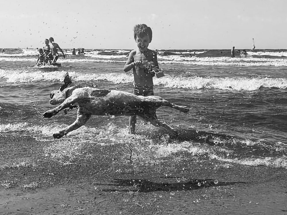 Photograph by Юлия Алексейчикова