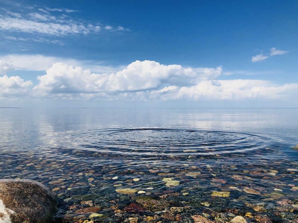Photograph by Елена Шведова