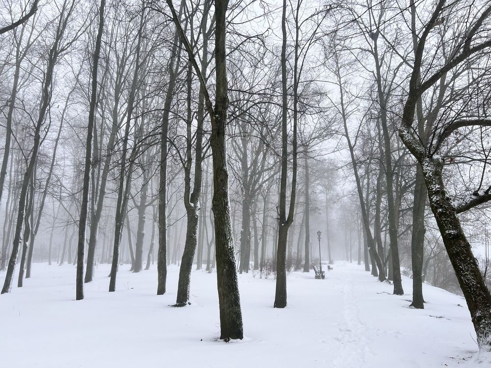 Фотография автора Ирина Мосько