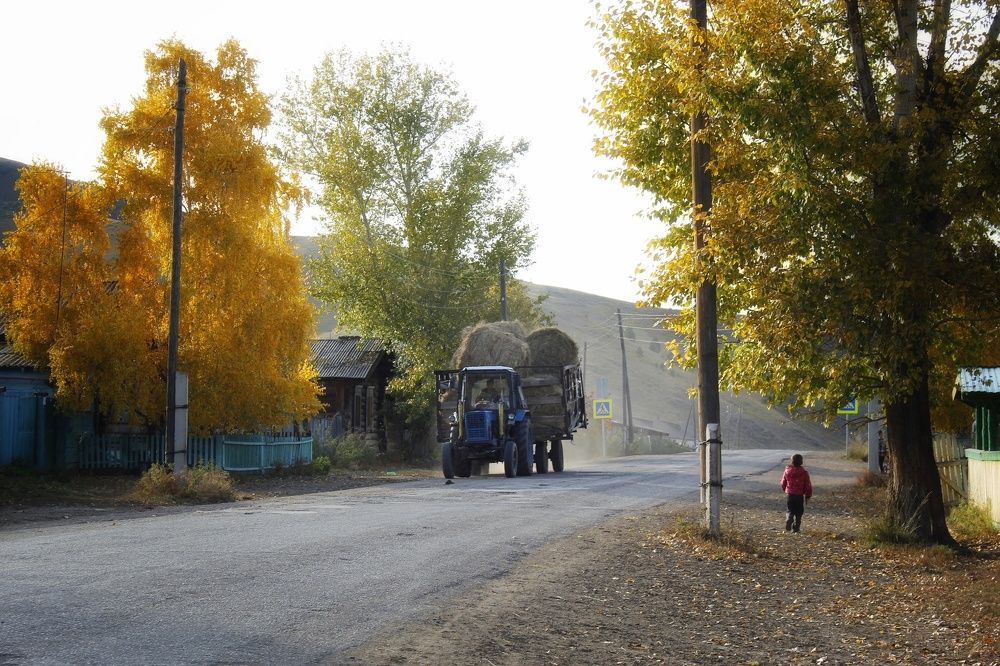 Photograph by Светлана