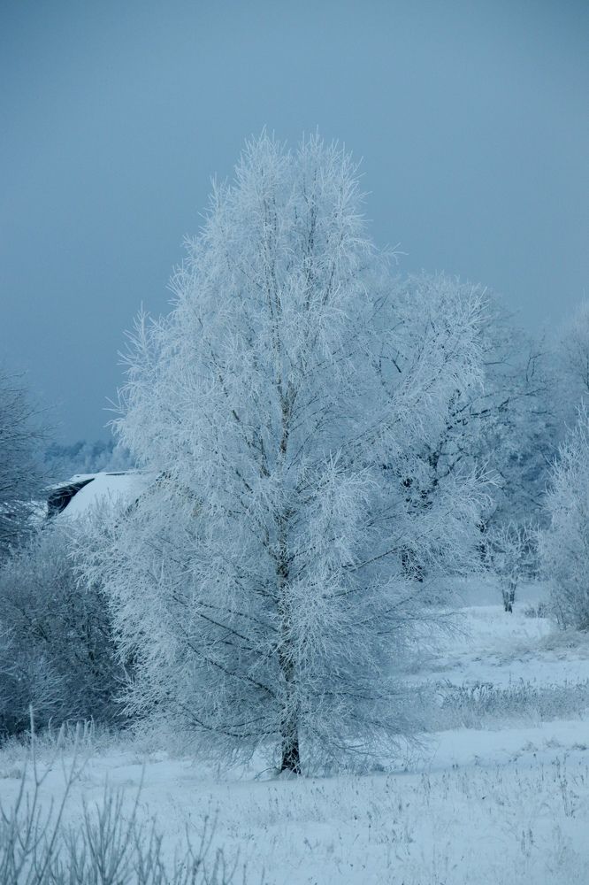 Photograph by Jelena Dzene