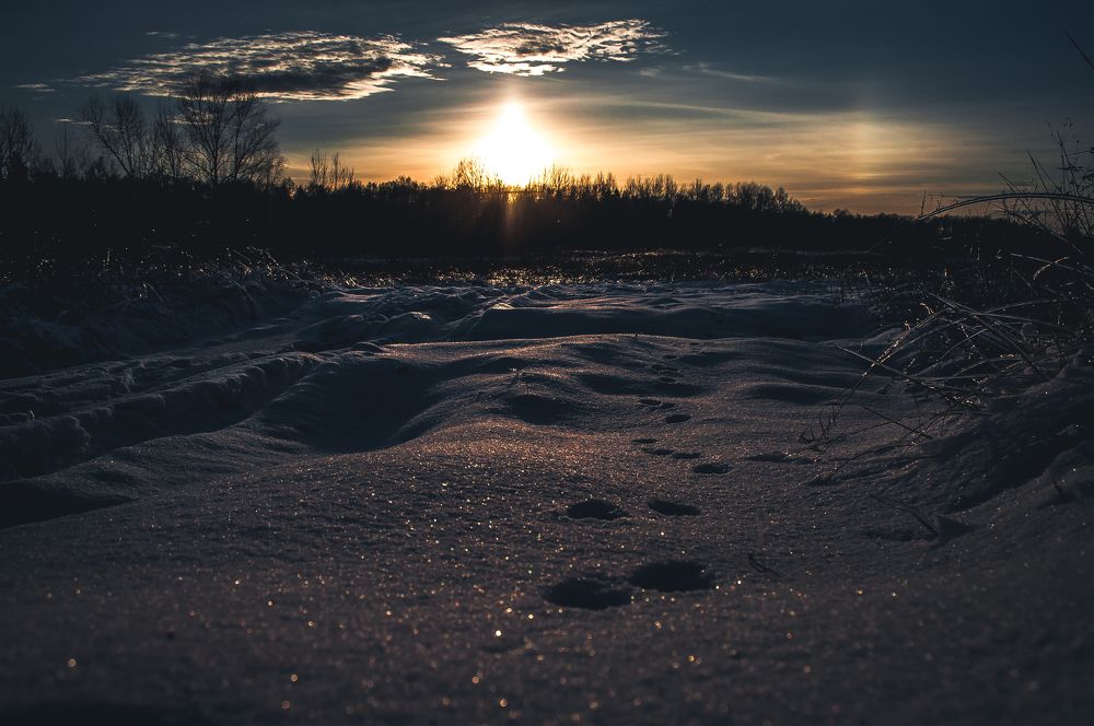 Photograph by Яна Золотоверхая