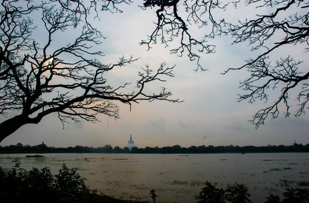 Photograph by Niroshan Wijesinghe