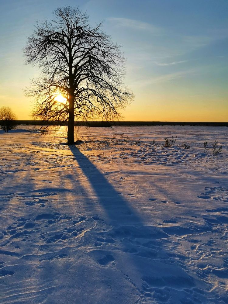 Photograph by Андрей Шестаков