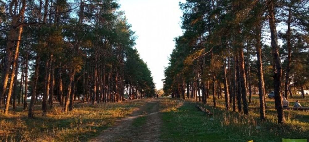 Photograph by Ирина Шибитова