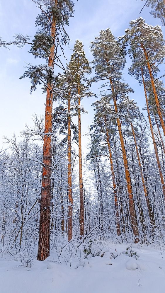 Photograph by Евгений Юдин