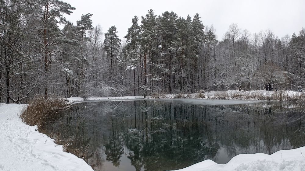 Photograph by Людмила Железнова