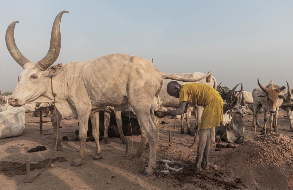 Photograph by Илья Поляк