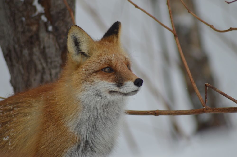 Photograph by Маргарита