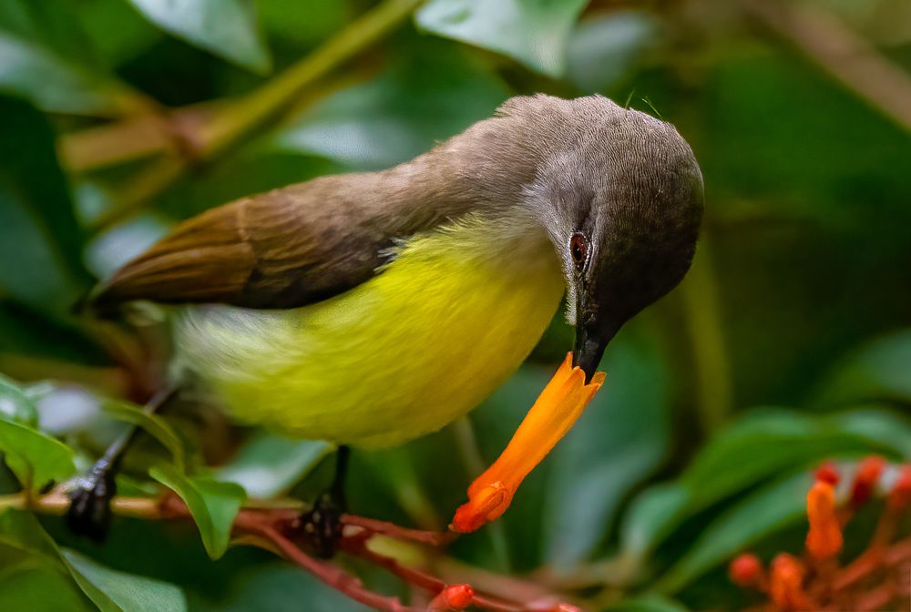 Photograph by Bristow Joseph