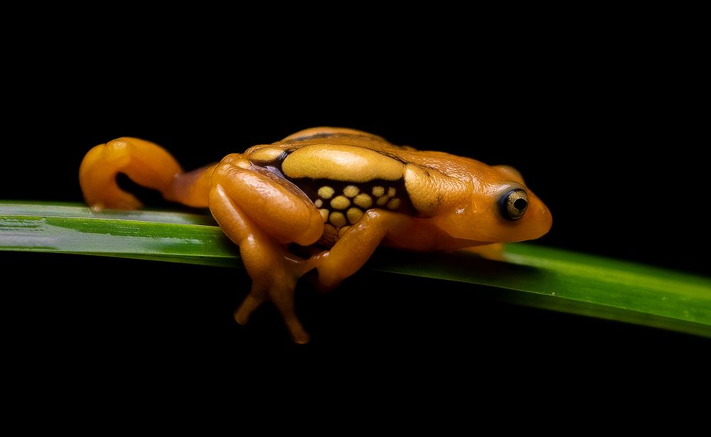 Photograph by Bristow Joseph