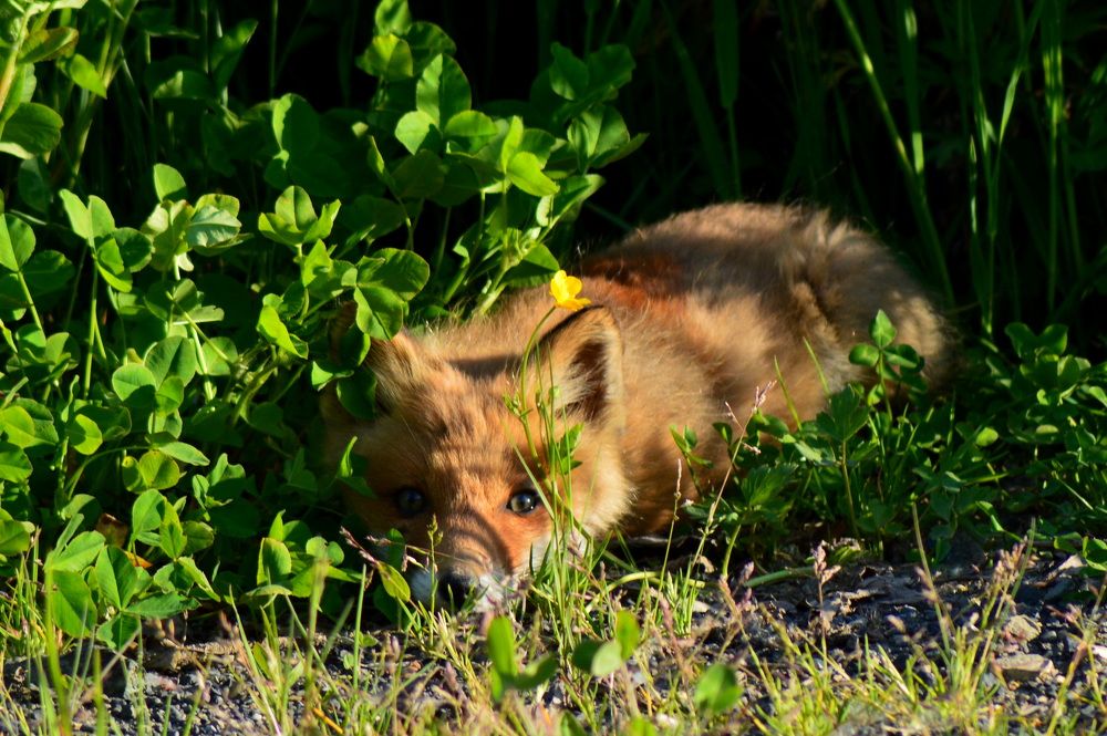 Photograph by Маргарита