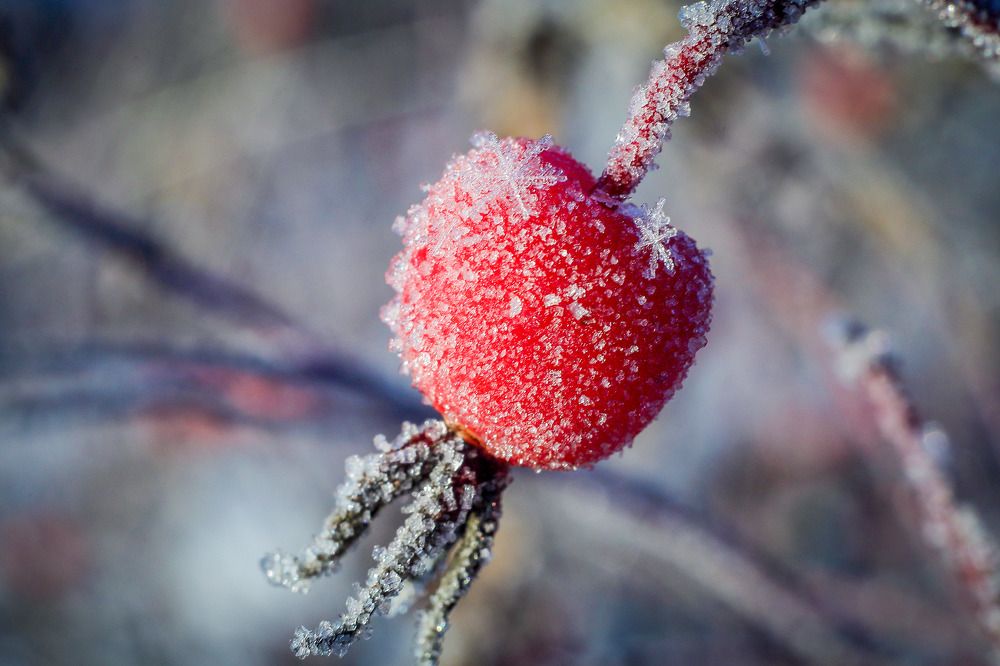 Фотография автора Юрий Фефилов