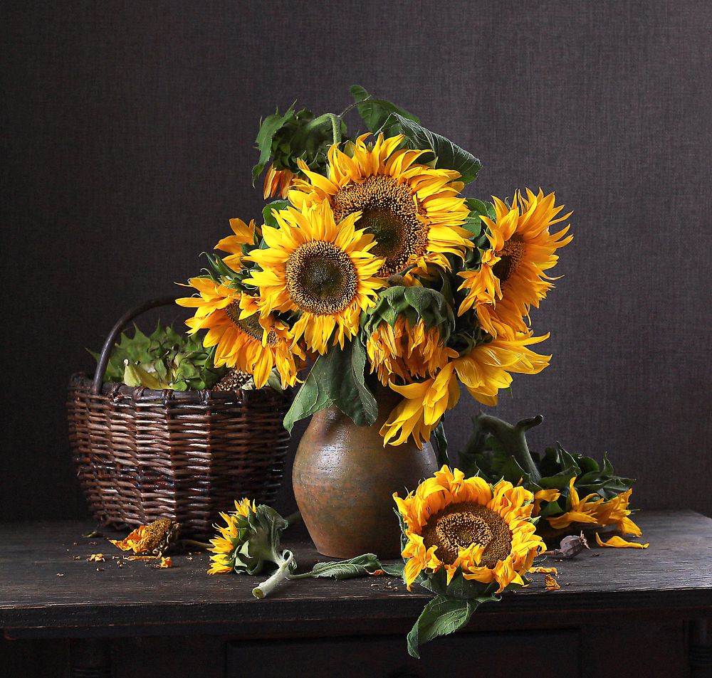 Время подсолнушков