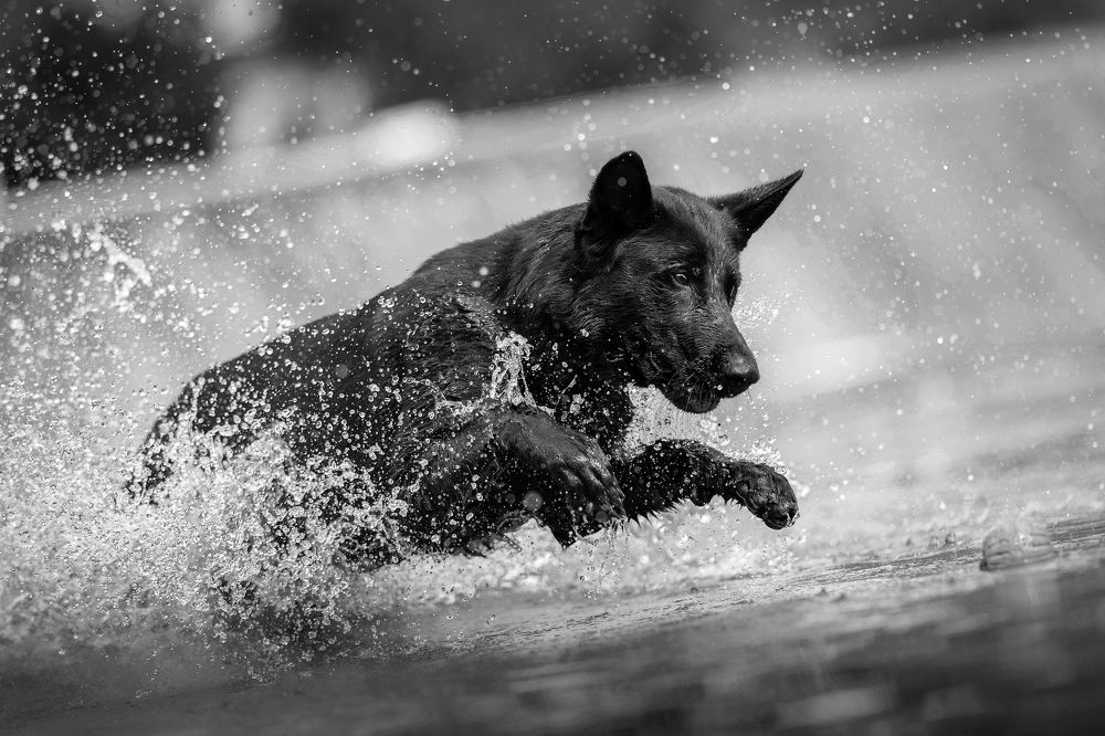 Photograph by Lucia Drietomska