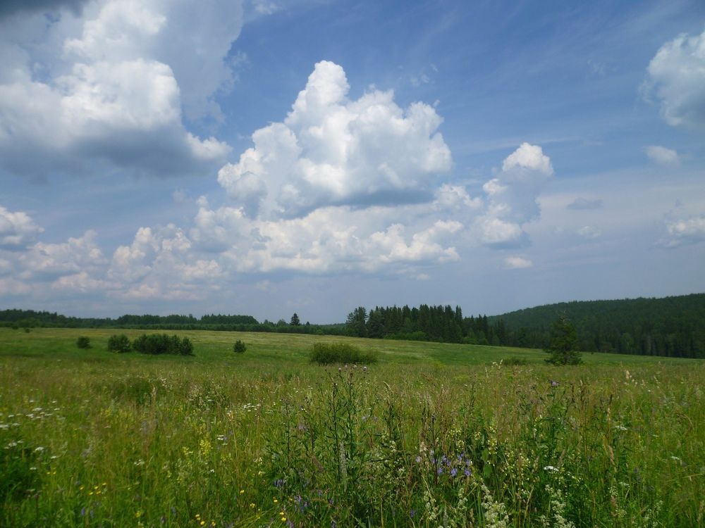 Летний день