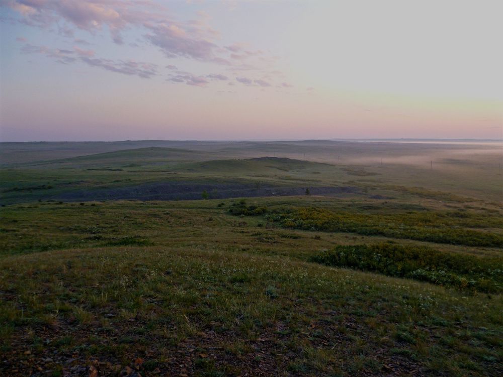 Нежный рассвет