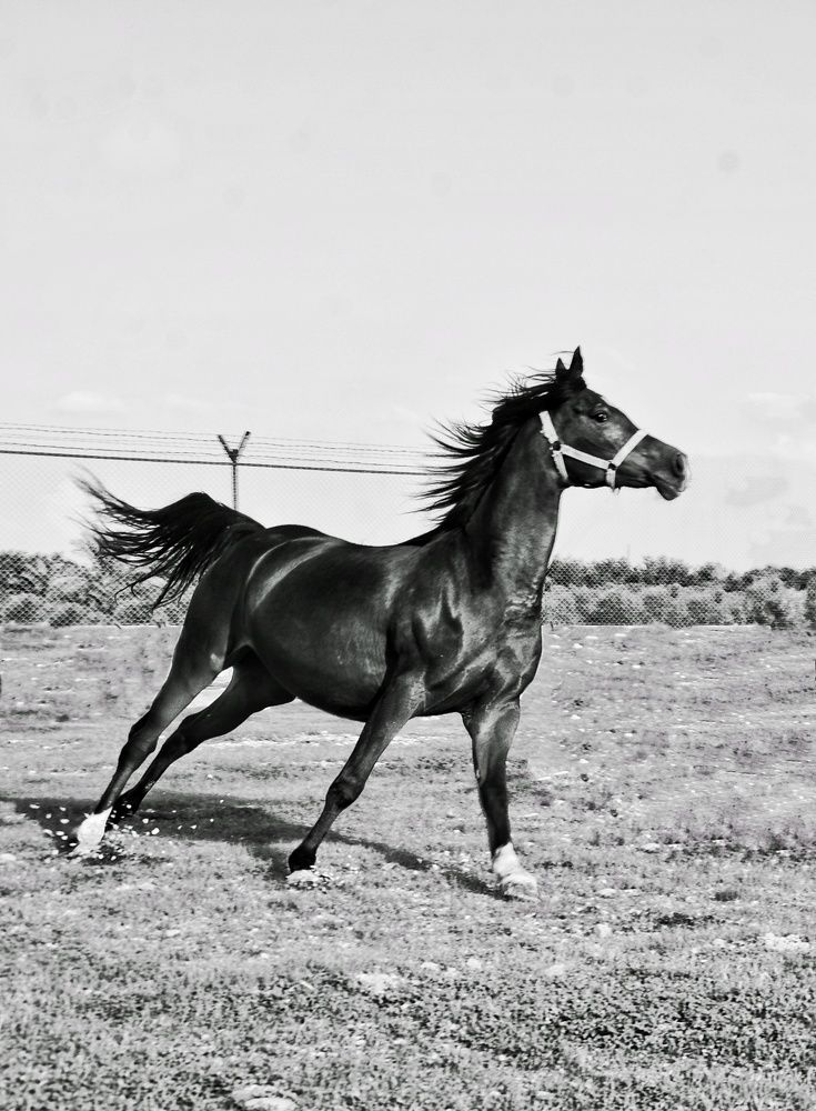 Photograph by Amin Golestanipour