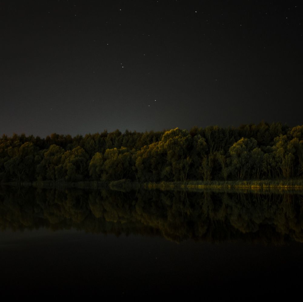 Photograph by Максим Пономарев