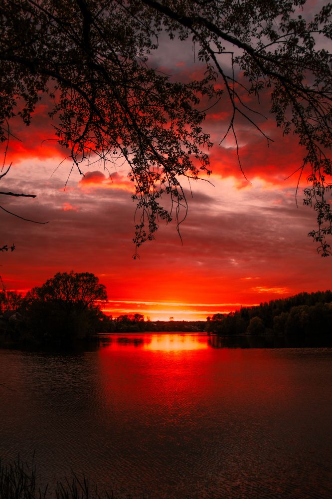 Photograph by Максим Пономарев