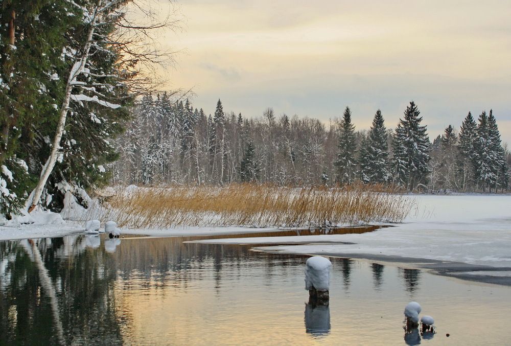 Фотография автора Панюшкин Владислав Владимирович