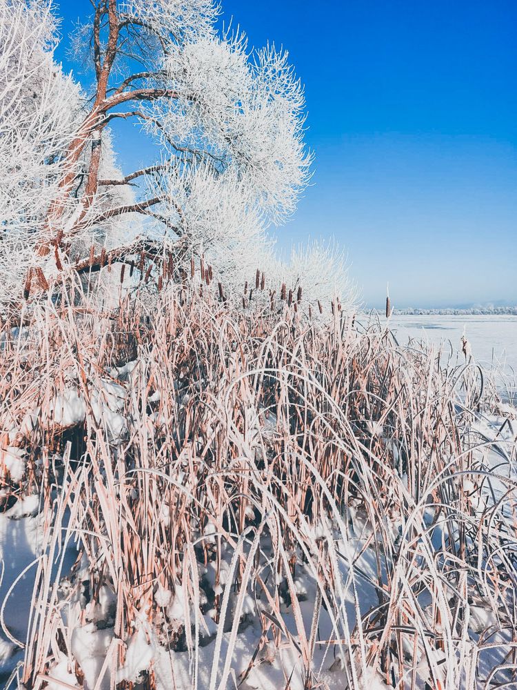 Photograph by Jelena Dzene