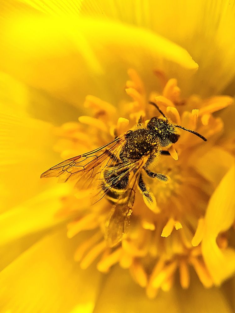 Photograph by Лариса Когтева