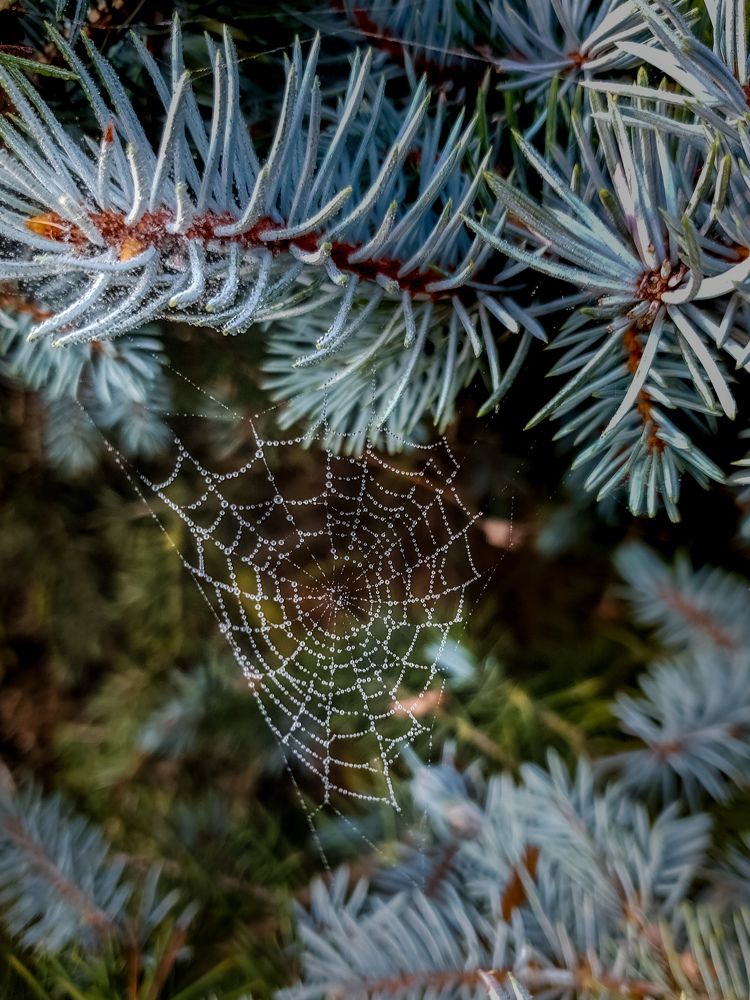 Photograph by Лариса Когтева