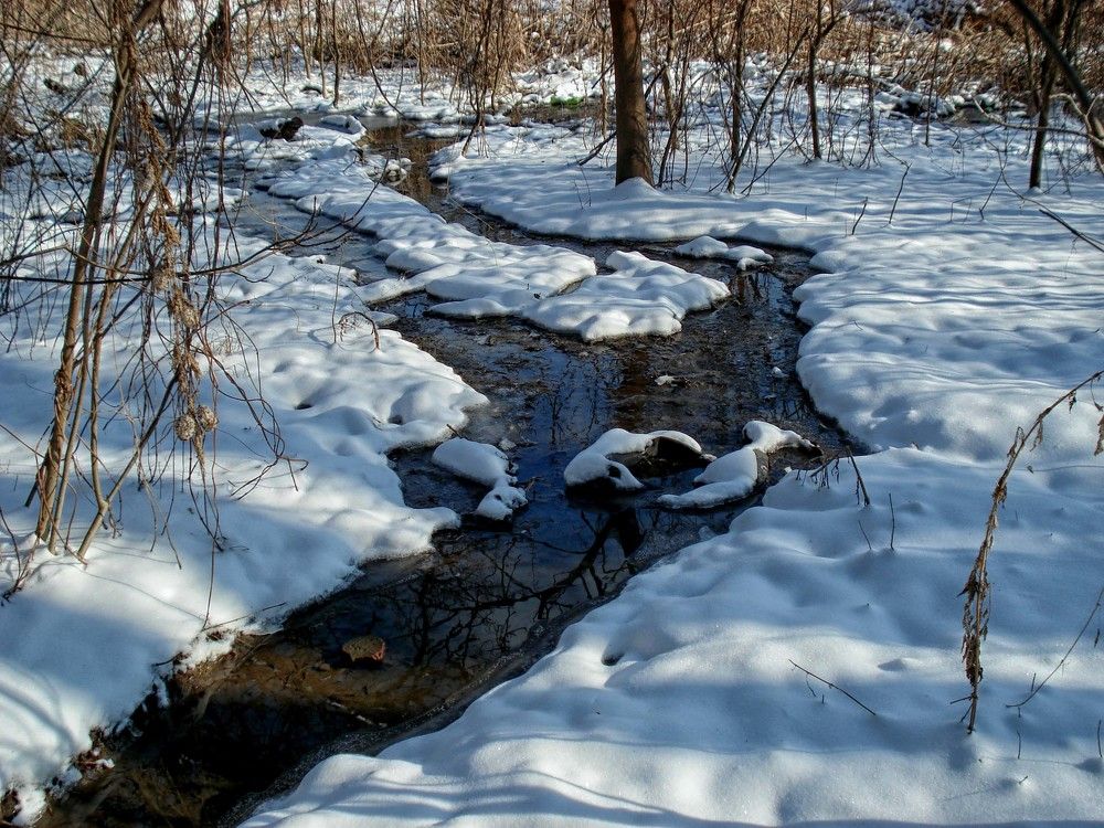 Photograph by София Гавриловна Вотякова