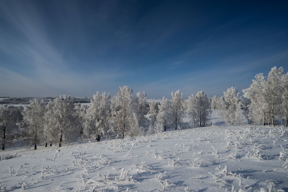 Photograph by Константин Щербаков