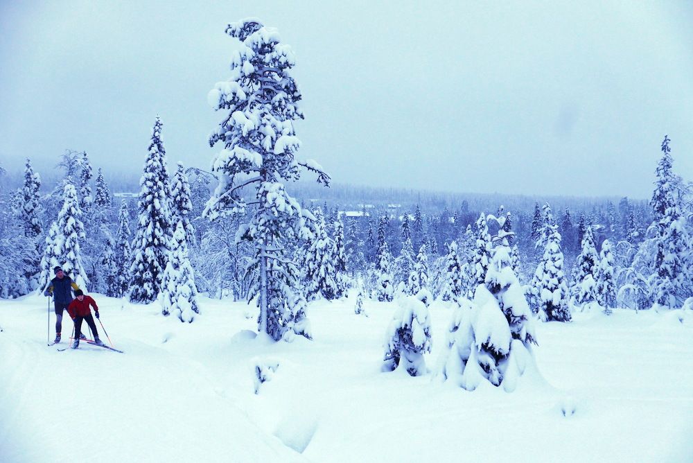 Photograph by Юрий Сычев