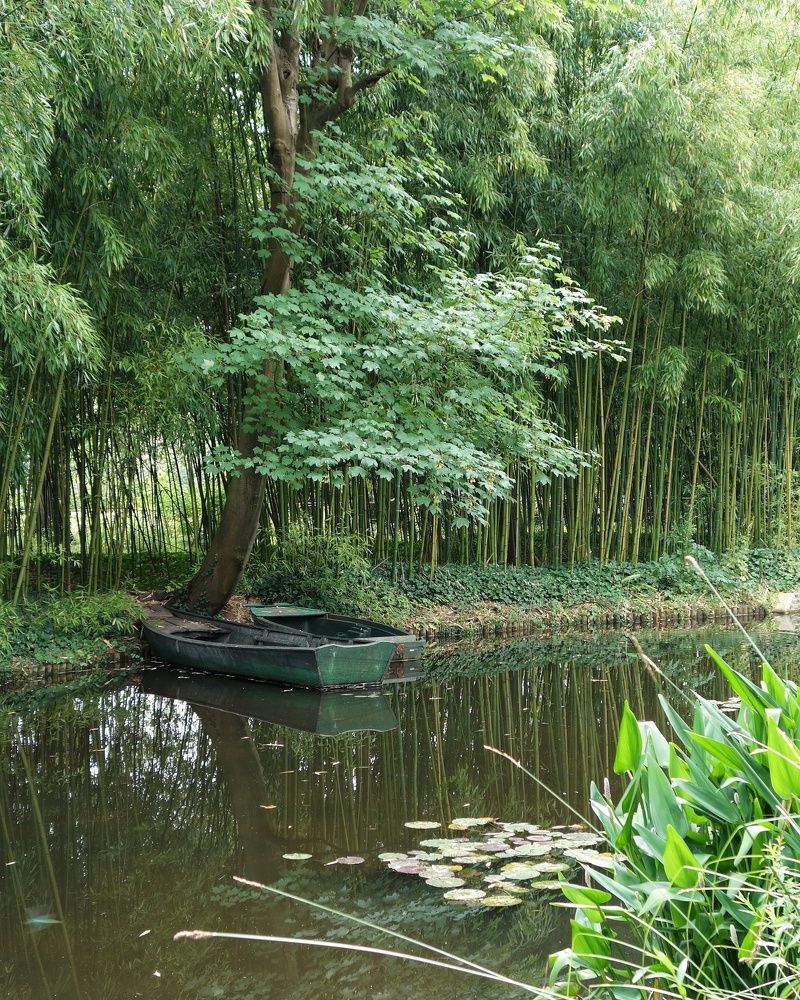 Photograph by Василий Селиванов