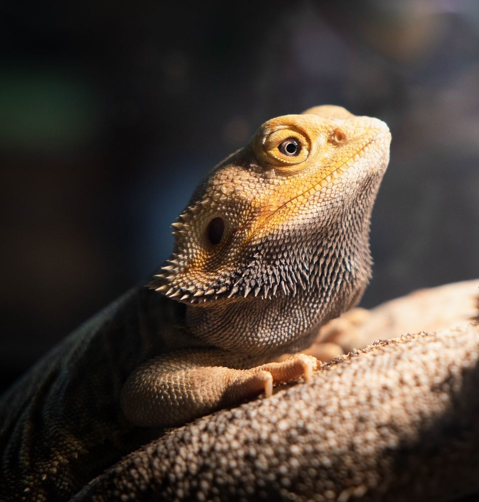 Photograph by Екатерина Кицмен