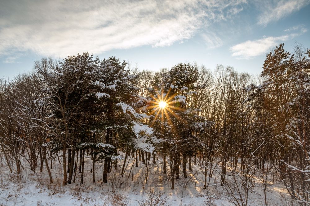 Photograph by Олег Волков