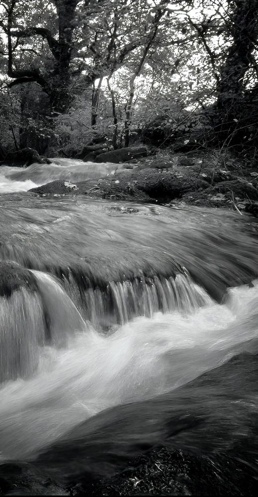 Фотография автора Michael Gault