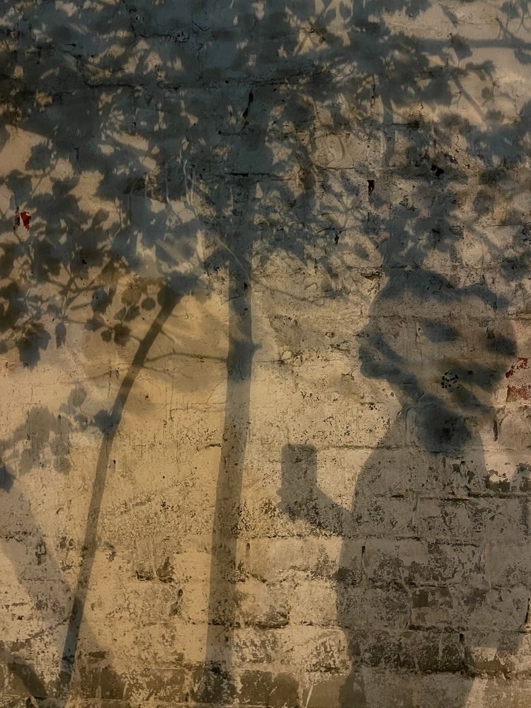 Photograph by Ольга Иванова