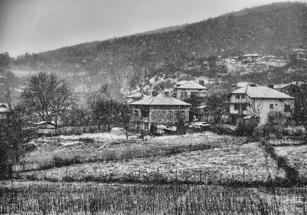 Photograph by Meltem Yıldız