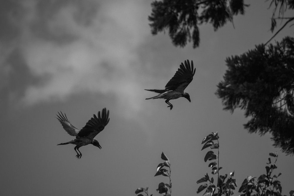 Photograph by Владислав Капанов