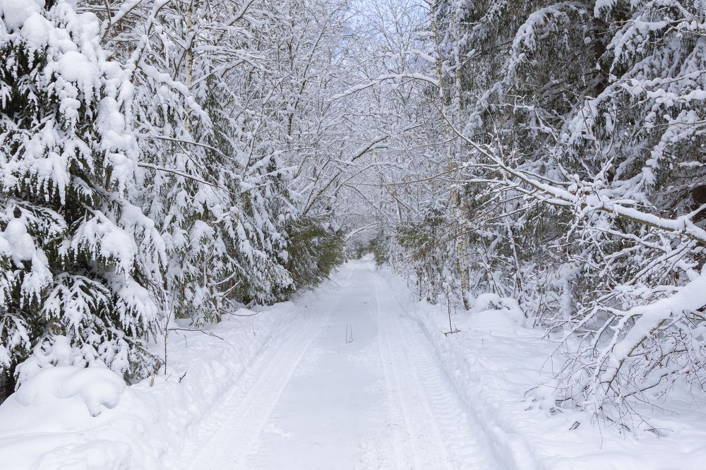 Photograph by Андрей Ларин