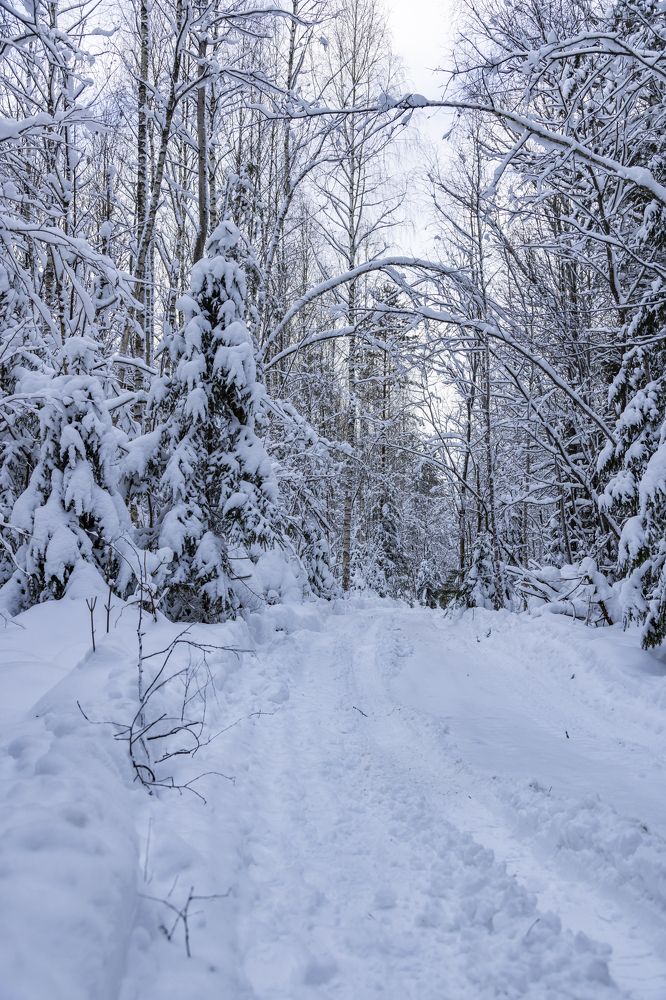 Photograph by Андрей Ларин