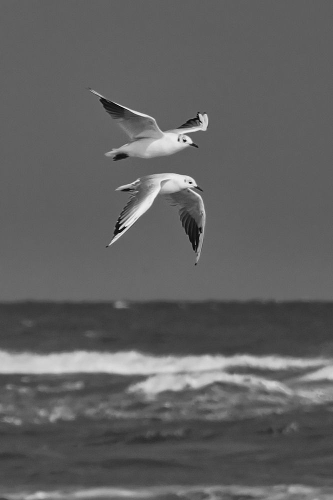 Не бойся, я с тобой!