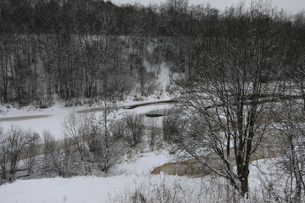 Photograph by Владимир Грибков