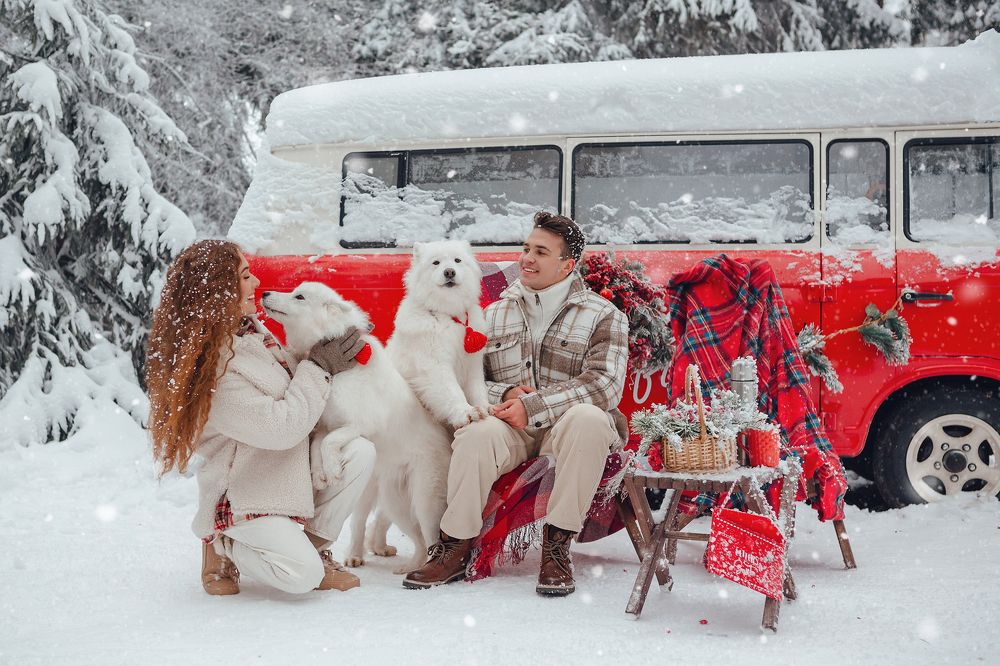 Photograph by Дарья Олендарёва