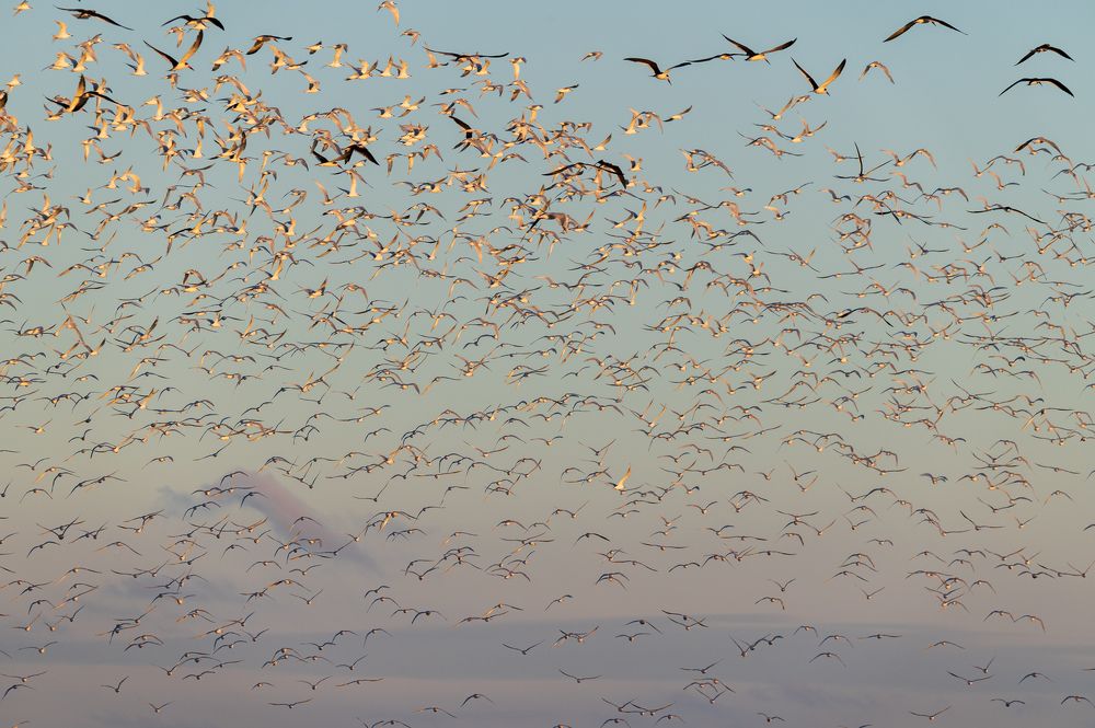 Photograph by Lucia Ana Juárez