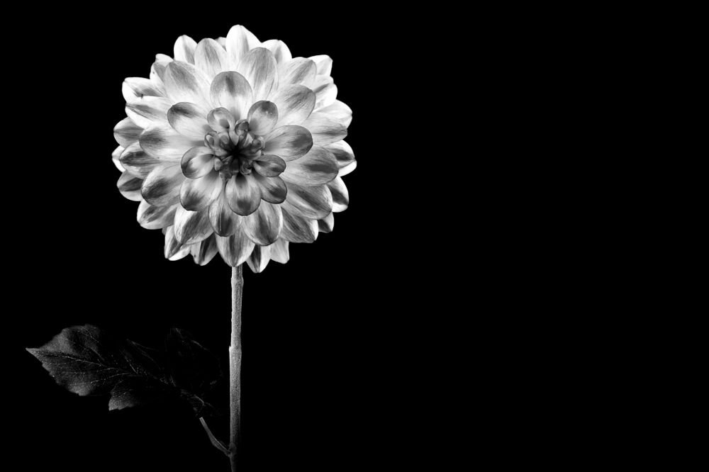 Photograph by Sébastien Wautié