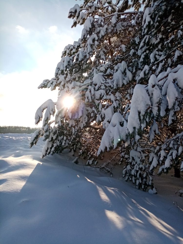 Photograph by Михаил Царикевич