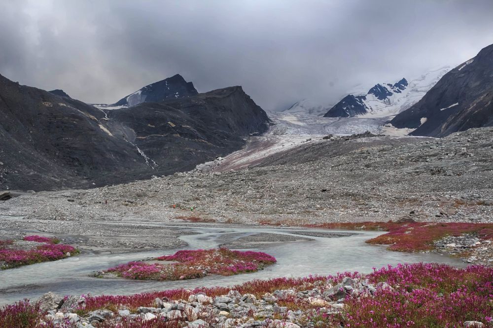 Photograph by Янина Малиновская